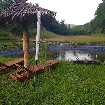 Villa Vajat Tuk à Bajina Basta Extérieur photo