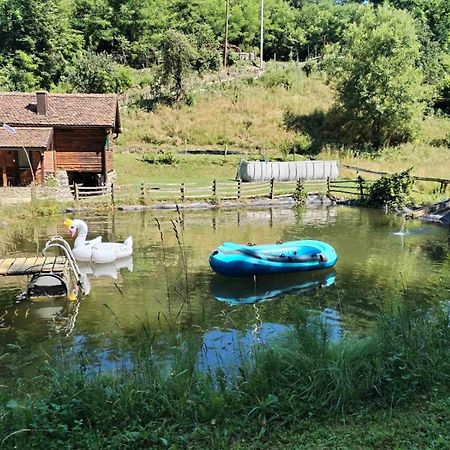 Villa Vajat Tuk à Bajina Basta Extérieur photo