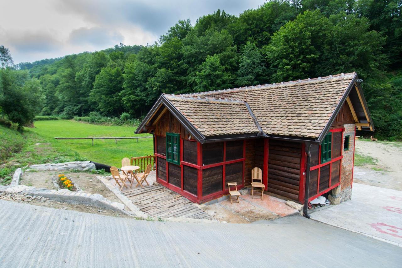 Villa Vajat Tuk à Bajina Basta Extérieur photo