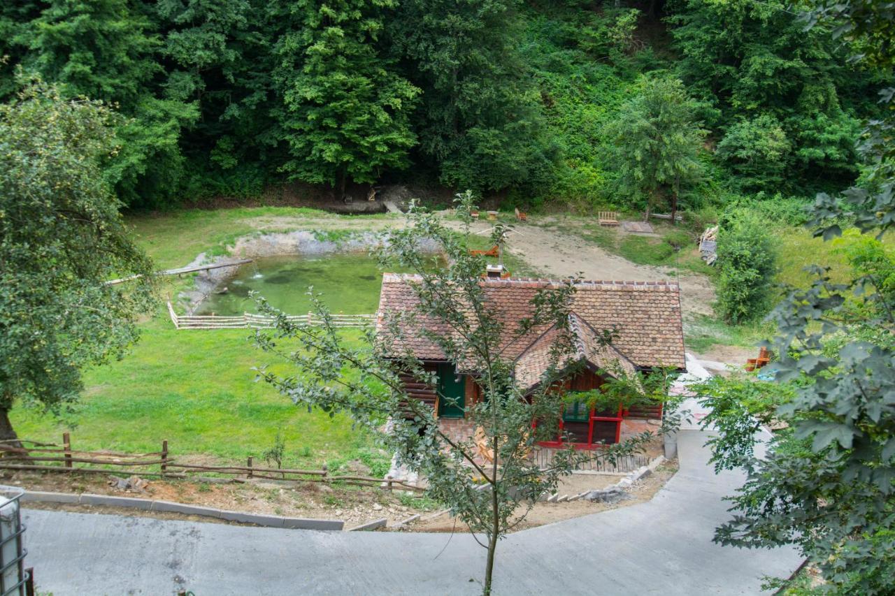 Villa Vajat Tuk à Bajina Basta Extérieur photo