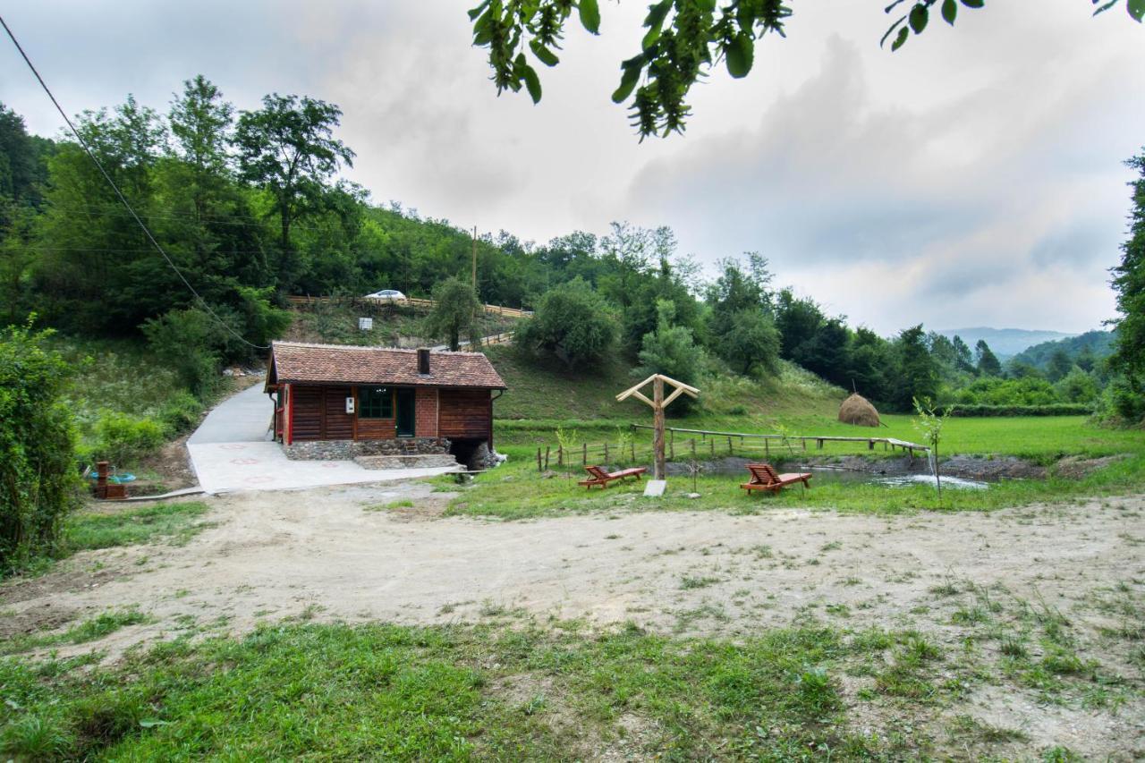 Villa Vajat Tuk à Bajina Basta Extérieur photo