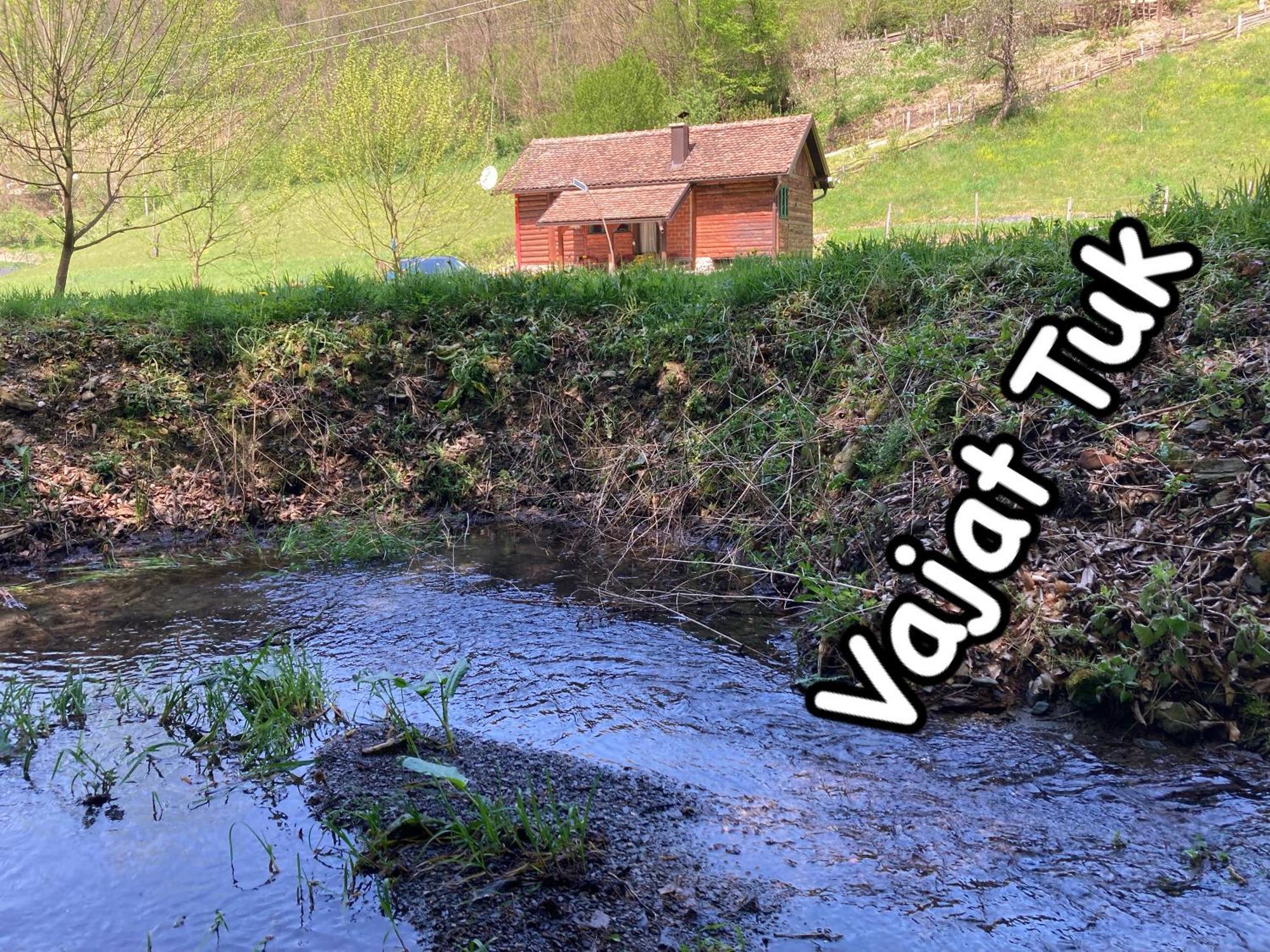 Villa Vajat Tuk à Bajina Basta Extérieur photo