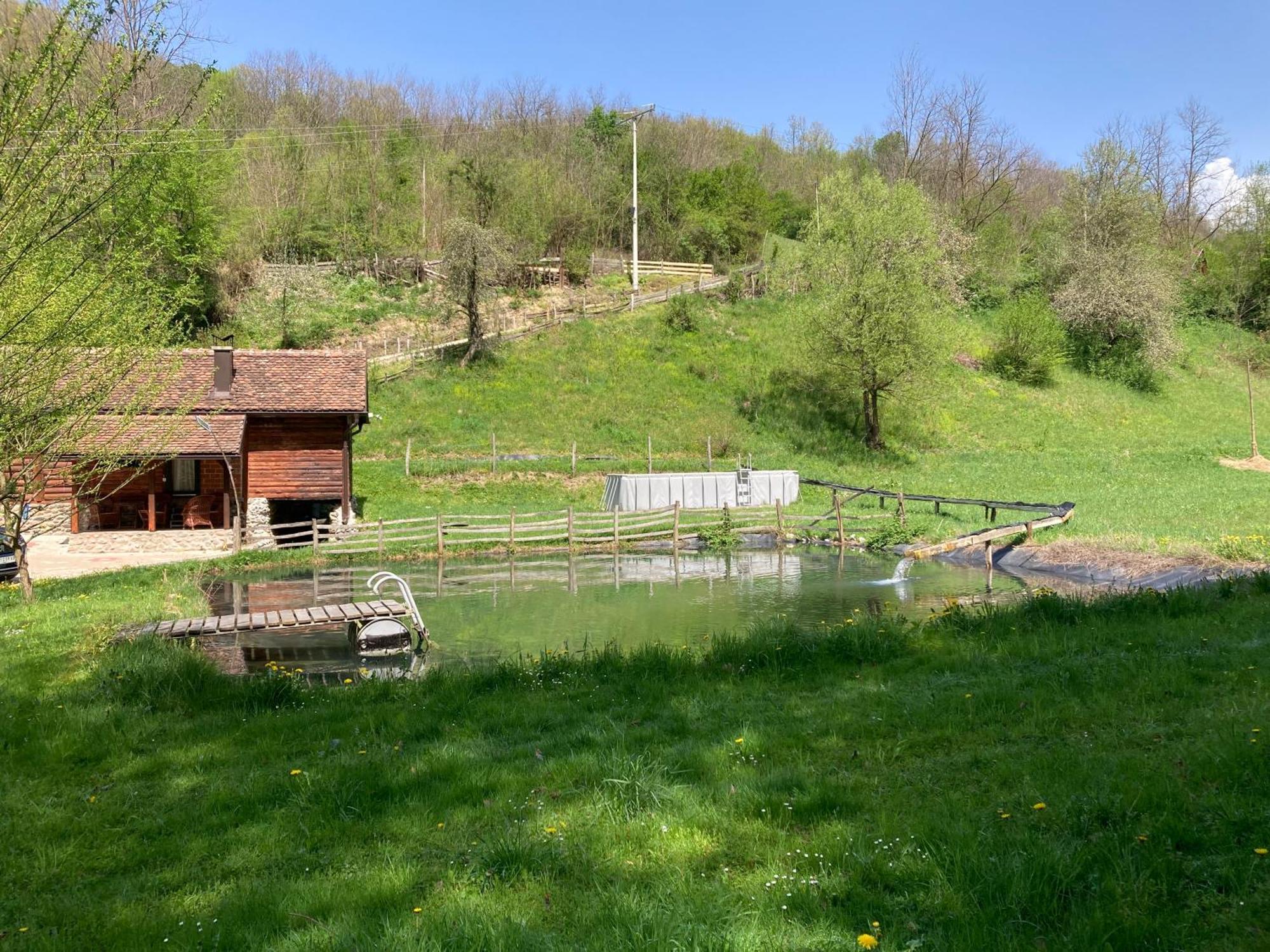 Villa Vajat Tuk à Bajina Basta Extérieur photo